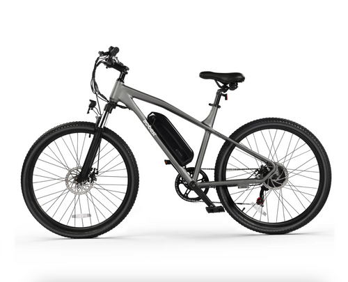 Race Electric Mountain Bike